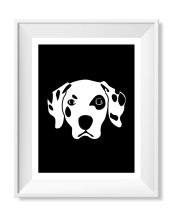 Dalmatian